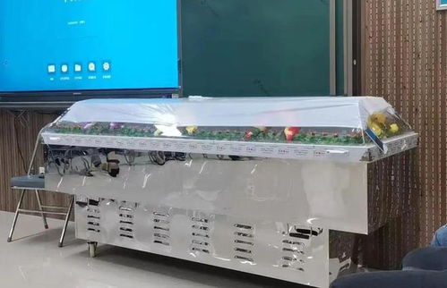 跨界融合 從殯葬專業(yè)到計算機批發(fā)，膽識鋪就多元職業(yè)路
